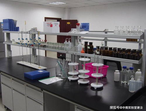 探索生命的奧秘 中南科學(xué)DNA實驗玩具建設(shè)方案