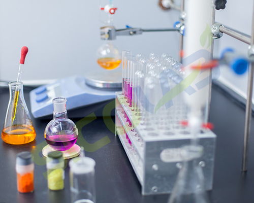 食品分子生物學實驗室常用儀器，科學實驗玩具升級玩法