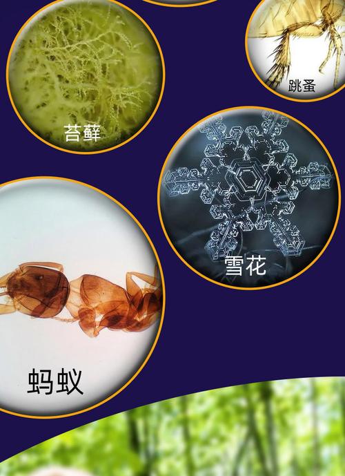 兒童顯微鏡便攜式科學(xué)實(shí)驗(yàn)套裝益智玩具器材小學(xué)生初中男女孩禮物